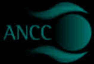 ANCC